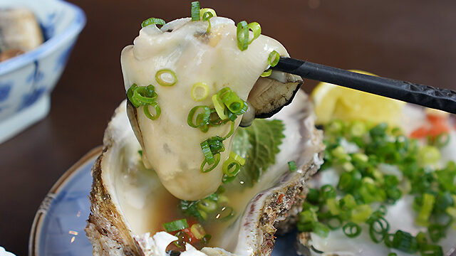 小見川 魚平 山盛りの海鮮丼とぷりぷり岩牡蠣に舌鼓を打つ Syupo シュポ 小見川 魚平 山盛りの海鮮丼とぷりぷり岩牡蠣に舌鼓を打つ Syupo シュポ