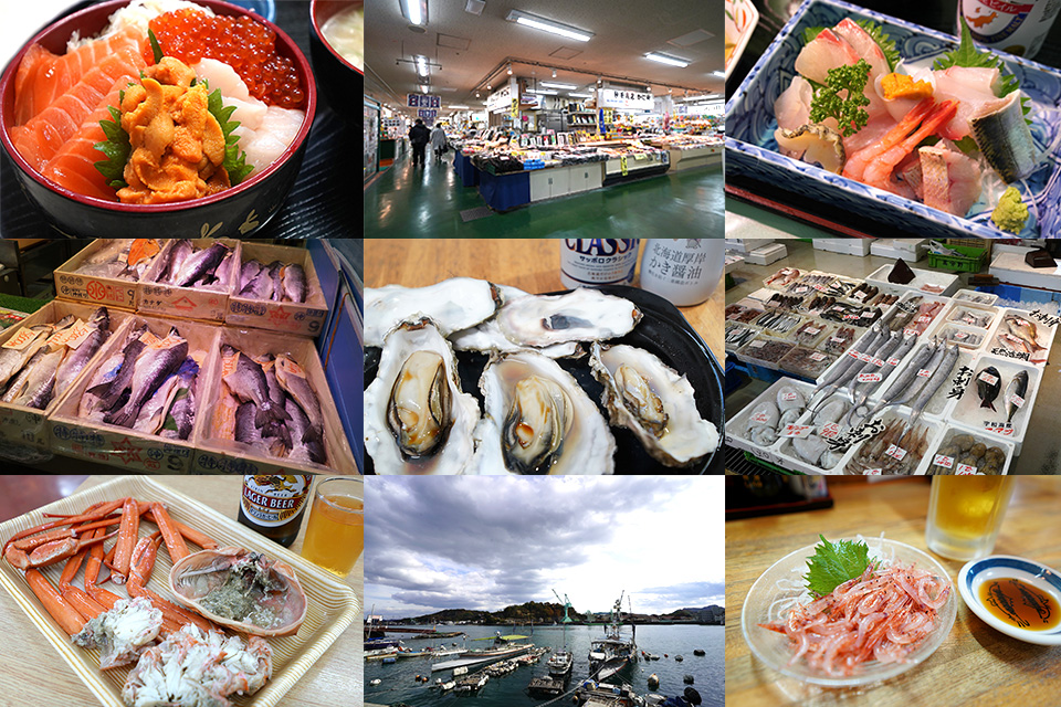 2023年版 日本全国魚河岸酒。市場や漁港で朝・昼酒ができる食堂・酒場紹介