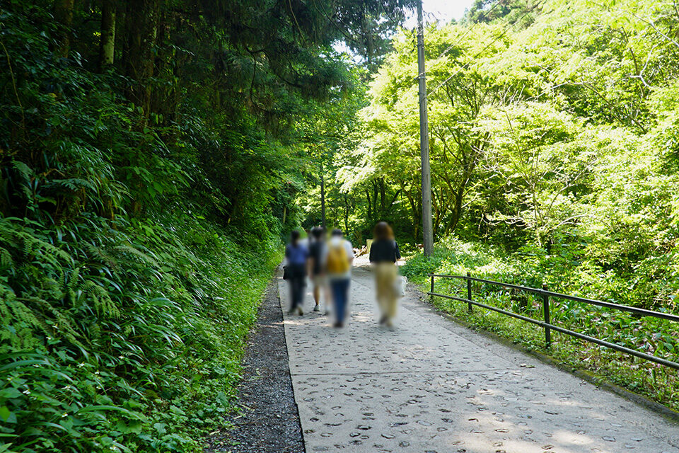 DSC08710 Syupo [シュポ]