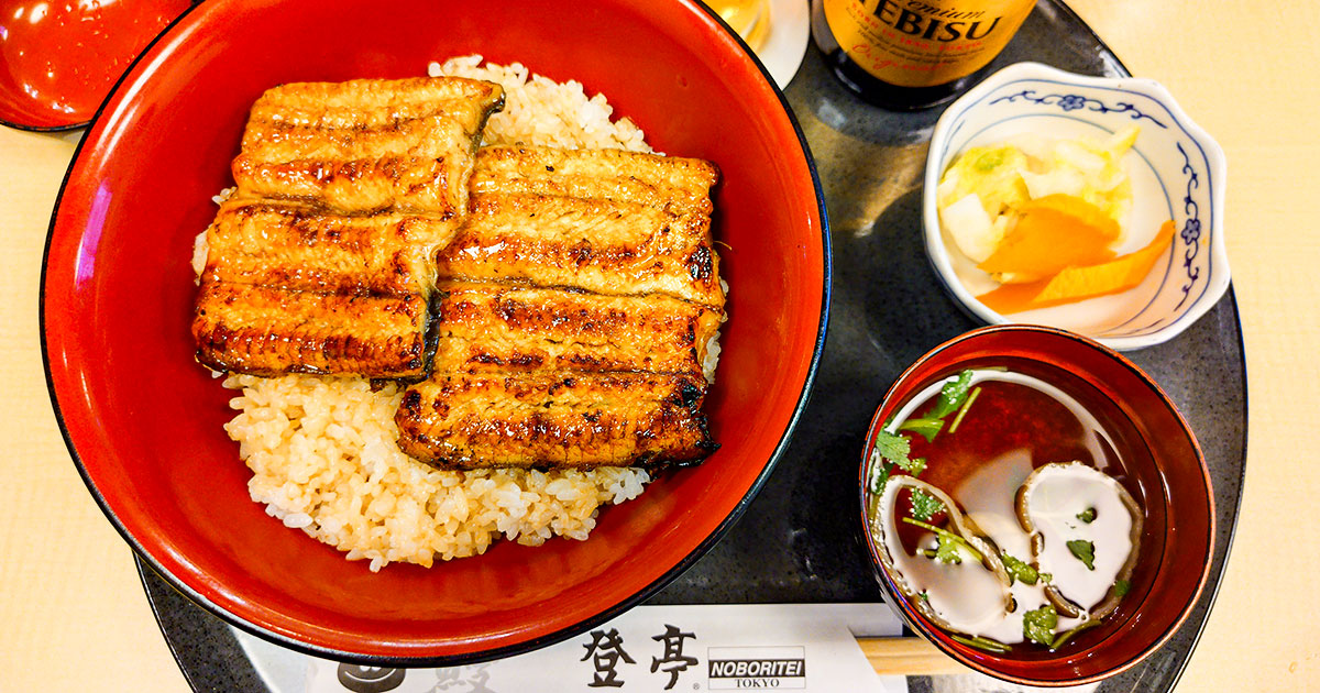 新宿『登亭』天保年間創業の鰻問屋直営！鰻丼は二千円台の大衆店 通し営業で昼飲みにも重宝