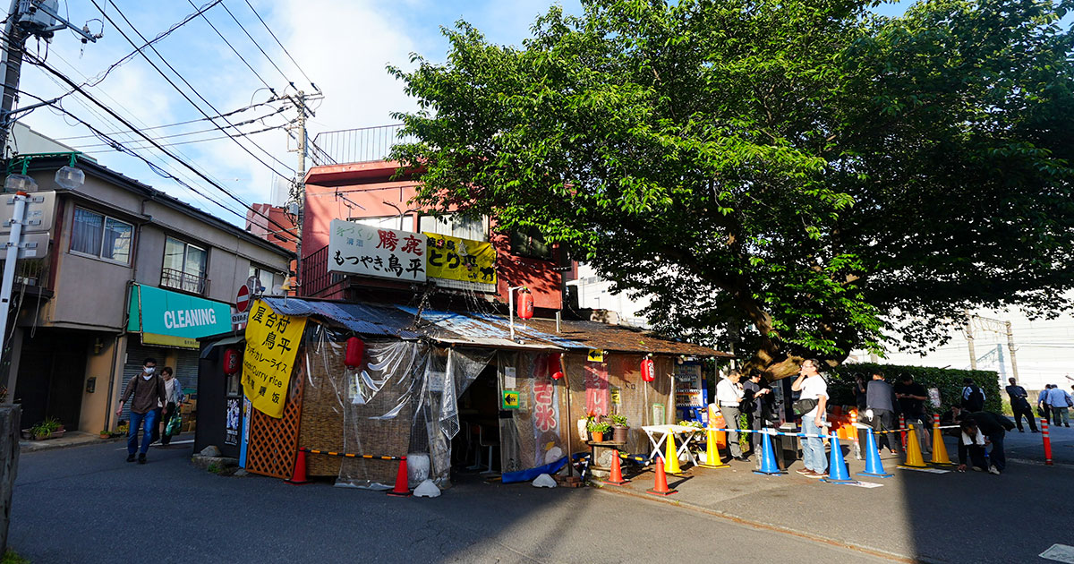 柏『鳥平』超ディープな屋台発見！桜の木の下でバイス片手にセンベロ焼き鳥セット