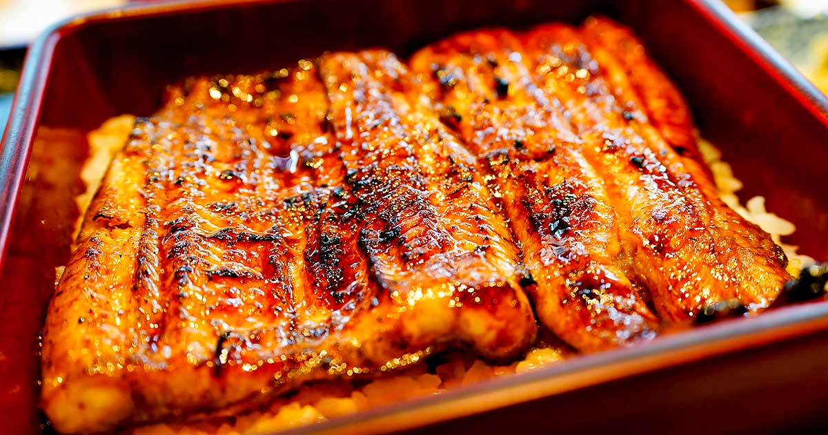 神保町『なかや蒲焼店』祝80周年！出版関係者と歩む名店の「うな重」は手頃で絶品 鰻煮凝りでお昼酒